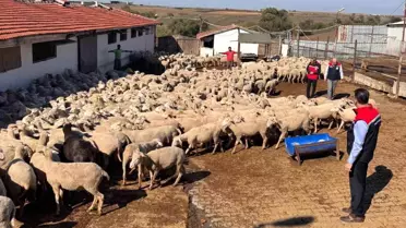 Tekirdağ'da Tarımsal Faaliyetler İncelendi