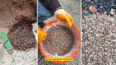 Türkiye'nin öteki gündemi! ''Son virajdayız'' diyen vatandaştan endişelendiren sözler