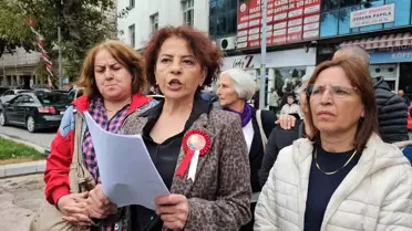 CHP Kadın Kolları'nda İstifa Krizi