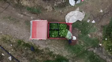 Sebze Yetiştiren Güçlü Kadın: Hanımşah İkiz