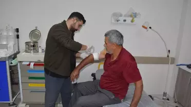 Kestane Toplarken Ayıdan Kaçan Çiftçi Yaralandı