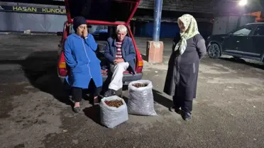 İki kişi 5 günde topladı, çuvalı 22 bin TL'ye satıldı