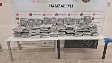 Kokain ve Esrar Operasyonu: 3 Şüpheli Yakalandı