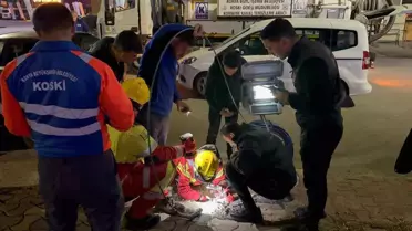 Kanalizasyondan Kurtarılan 'Sütlaç' Mutlu Sonla Özgürlüğüne Kavuştu