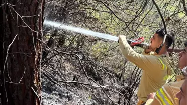Osmaniye'de örtü yangını söndürüldü