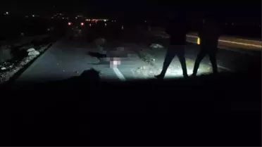 Hatay'da Hayvan Sürüsüne Araç Çarptı