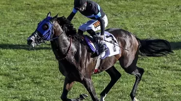 840 liralık kuponuyla altılıyı tek başına bildi! Kazandığı ikramiye inanılmaz