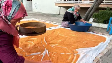 Sındırgı'da Geleneksel Tarhana Hazırlığı