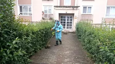 Başiskele'de Yeşil Alanlar Estetik Görünüme Kavuşuyor