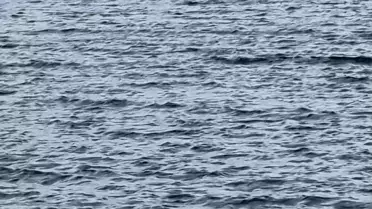 Tekne Faciası: 3 Kişi Hayatını Kaybetti