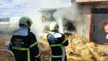 Bucak'ta Ot Balyaları Yanı