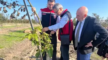 Ceviz Bahçesi Ziyareti