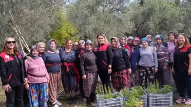 Kadın Çiftçilere Fideler Hediye Edildi