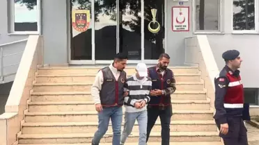 Fındık Hırsızı Tutuklandı