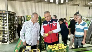 Hatay'da Limon İhracatına Denetim
