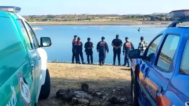 Kaçak Balık Ağına 1 Ton Sazan Kurtarıldı