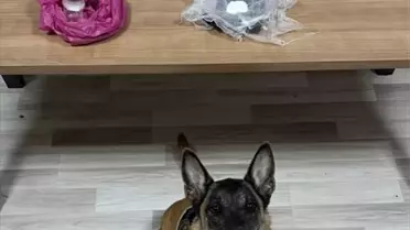 Kahta'da Uyuşturucu Operasyonu: 2 Gözaltı