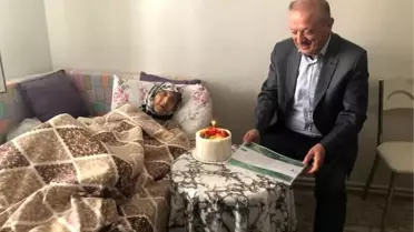 107 Yaşındaki Çınara Doğum Günü Kutlaması