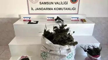 Bafra'da Uyuşturucu Operasyonu