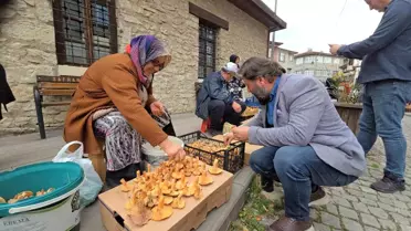 Safranbolu'da Kanlıca Mantarına Yoğun İlgi