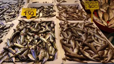 Trabzon'da Balık Bolluğu
