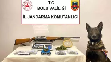 Bolu'da Uyuşturucu Operasyonu: 1 Tutuklama