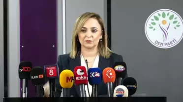 DEM Parti'den Öcalan Çağrısı