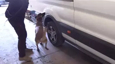 Kapıkule'de 36 Kilo Kokain Ele Geçirildi