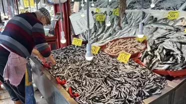 Karabük'te Hamsi Bereketi: Kilo 100 TL