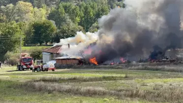 Domaniç'te Yangın Paniği: Ev ve Araçlar Zarar Gördü