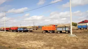 Muş'ta Şeker Pancarı Alım Sezonu Devam Ediyor
