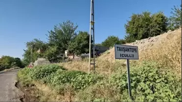 Narin Güran davasında avukat çekildi