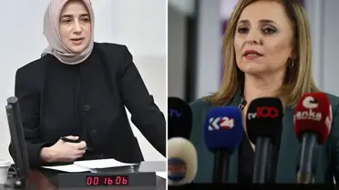 ''Öcalan'a umut hakkı'' polemiği! Özlem Zengin ''Talep olmadı'' dedi, DEM'den anında yanıt geldi