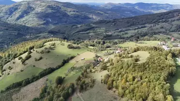 Uluvahta Yaylası: Doğanın Huzur Durağı