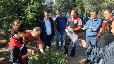 Sakız Ağacı Projesi Üreticileri Çeşme'de İnceleme Yaptı