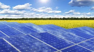Sinop Üniversitesi'nde Güneş Enerjisi Santrali Kuruluyor