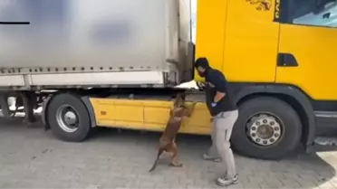 Tosya'da Tırda Metamfetamin ve Silah Ele Geçirildi