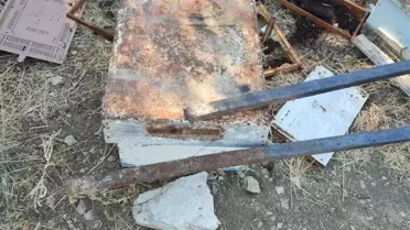 Bozayılar Arı Kovarını Hasar Verdi