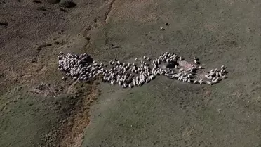 Zigana Dağı'nda Sonbahar Pastoral Hayatı