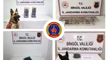 Bingöl'de Kaçakçılık Operasyonu: 2 Tutuklama