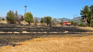 Bucak'ta Otluk Yangını Kontrol Altına Alındı