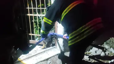 Arsuz'da Sıkışan Yavru Köpek İtfaiye Ekipleri Tarafından Kurtarıldı