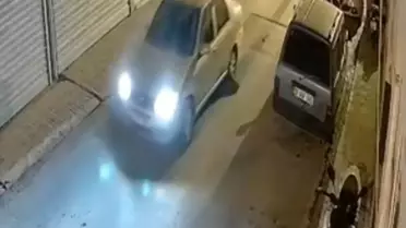 Oklu Kirpi Otomobilin Altında Kaldı