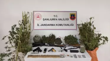 Şanlıurfa'da Uyuşturucu Operasyonu