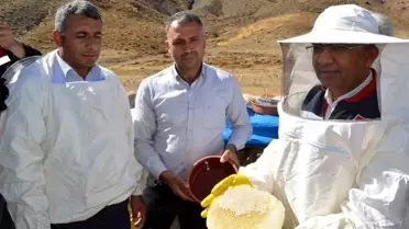 Pervari'de Organik Bal Hasadı Yapıldı