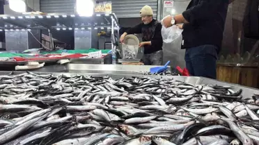 Bartın'da Hamsi Fiyatları Düşüyor