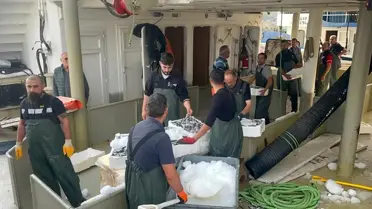 Karadeniz'de Hamsi Bolluğu ve Fiyat Düşüşü