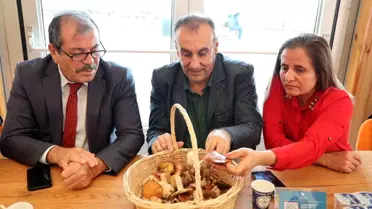 Düzce Üniversitesi'nde Mantarların Gizemli Dünyası Etkinliği Gerçekleştirildi