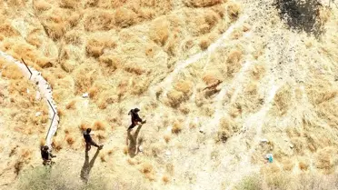 Siirt'te Kayıp 83 Yaşındaki Adam İçin Arama Çalışmaları Devam Ediyor