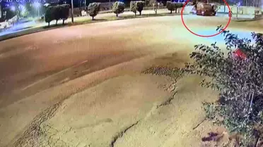 Hatay'da Kamyonet-Su Tankeri Kazası: Sürücü Hayatını Kaybetti